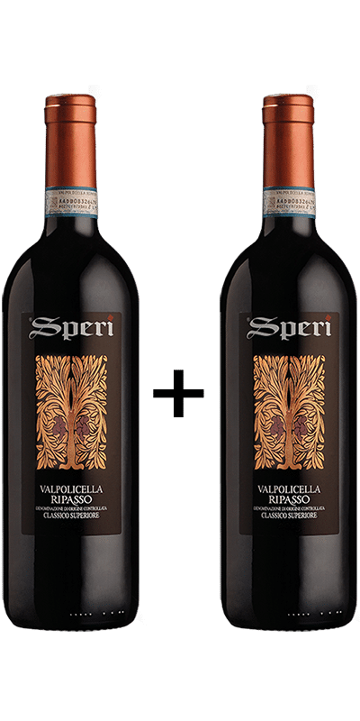 1+1 ספרי ריפסו